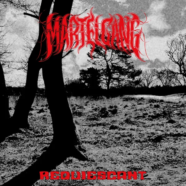 Requiescant