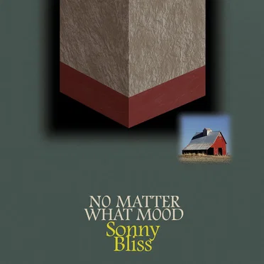 No Matter What Mood by Sonny Bliss - album cover
