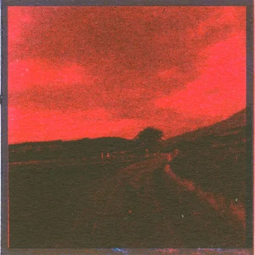 Passer les Champs by Romain de Ferron - album cover