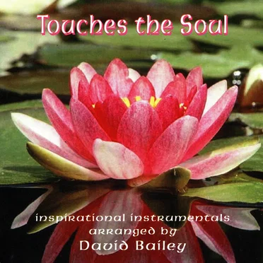 Touches the Soul: Inspirational Instrumentals by David Bailey - album cover