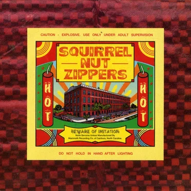 Hot by Squirrel Nut Zippers - album cover