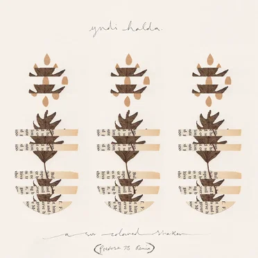 A Sun‐Coloured Shaker (Prefuse 73 remix)