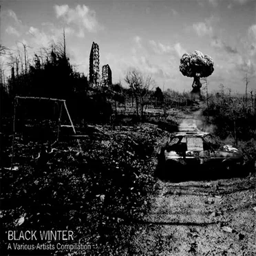 Black Winter by Various Artists - album cover