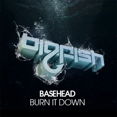 Burn It Down by Basehead - album cover