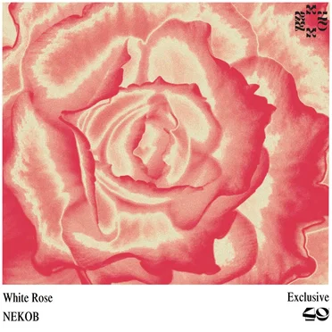 White Rose by NEKOB - album cover