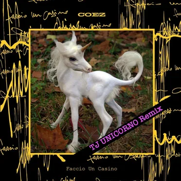 Faccio un casino (TJ Unicorno remix)