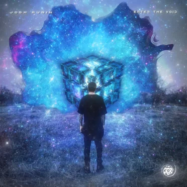 Enter the Void