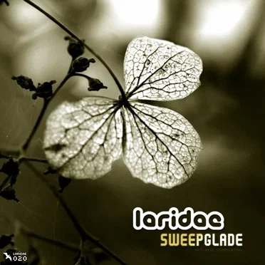 Sweepglade by Various Artists - album cover