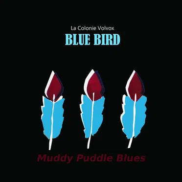 Blue Bird by La ColonieVolvox - album cover
