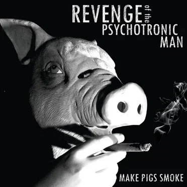 Make Pigs Smoke by Revenge of the Psychotronic Man - album cover