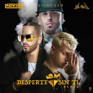 Desperté sin ti (remix)