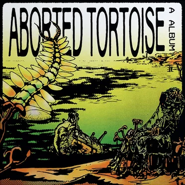 A Album by Aborted Tortoise - album cover