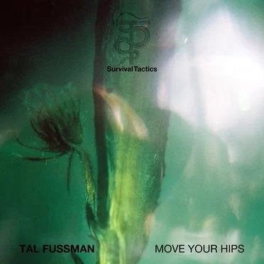 Move Your Hips by Tal Fussman - album cover