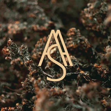 C u r s u s ( L u t o )