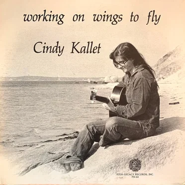 Working on Wings to Fly