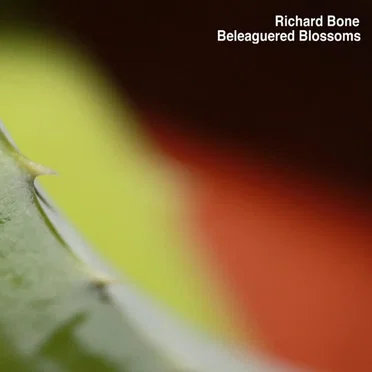 Beleaguered Blossoms (Selected Artifacts 1993-2009)