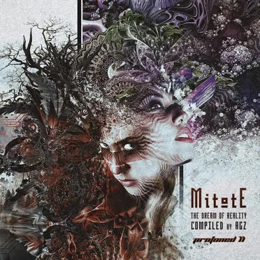 MitotE: The Dream Of Reality by Various Artists - album cover