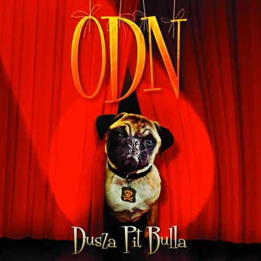 Dusza PitBulla by Orkiestra Dni Naszych - album cover