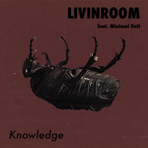 Knowledge