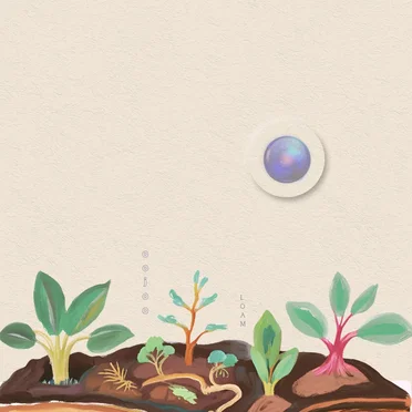 Loam