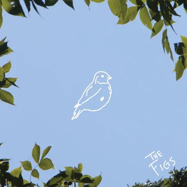 Canary Bird