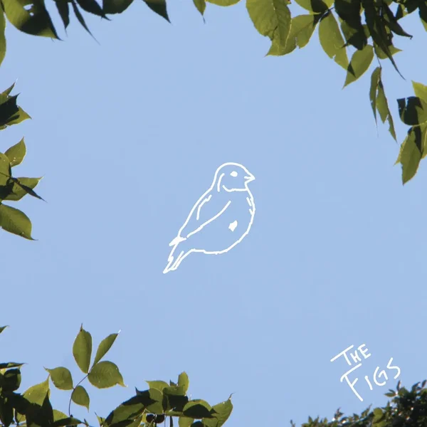 Canary Bird