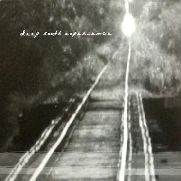 Deep South Experience by Various Artists - album cover