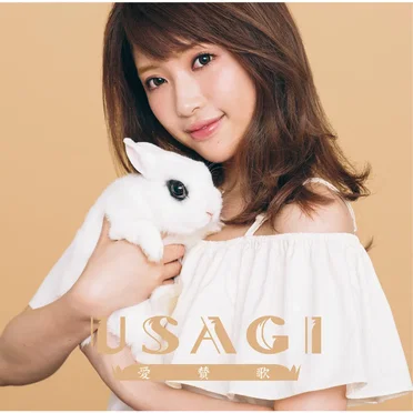 愛賛歌 by USAGI - album cover