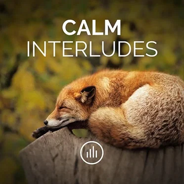 Calm Interludes