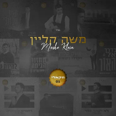 ווקאלי 01