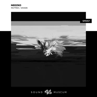 Muttnik / Zikade by Neezko - album cover