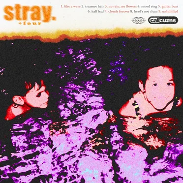 stray. by calicuzns - album cover