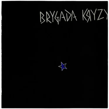 Brygada Kryzys
