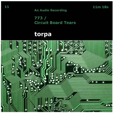 773 / Circuit Board Tears