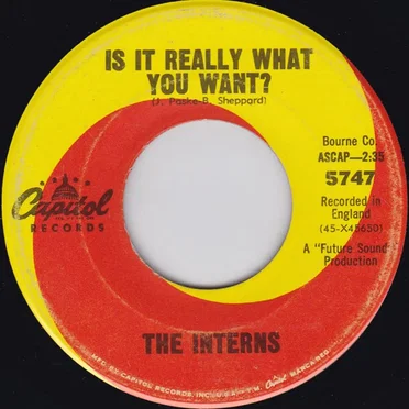 Is It Really What You Want? / Just Like Me by The Interns - album cover