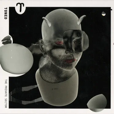 The Private Sector by TONED - album cover