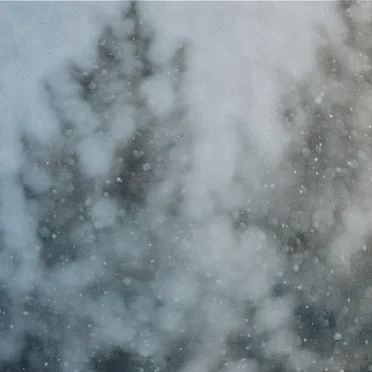 Digital Snow 1.1