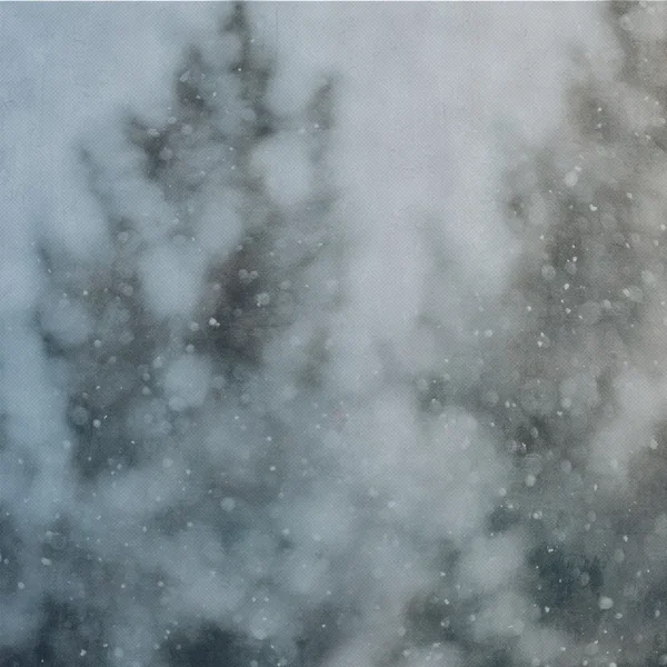 Digital Snow 1.1