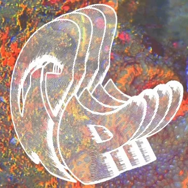 Live 7-21-21