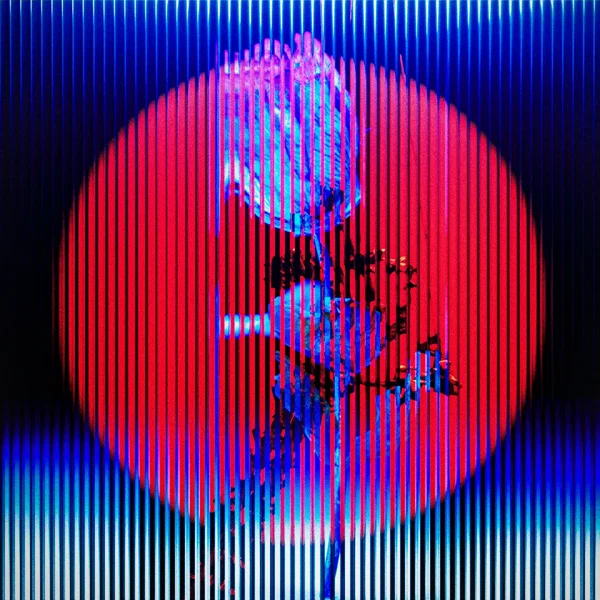 Foreshadow / Memory Loop