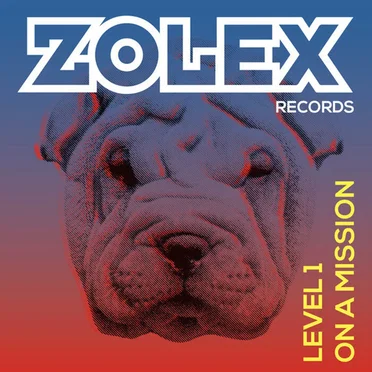 On a Mission by Level 1 - album cover