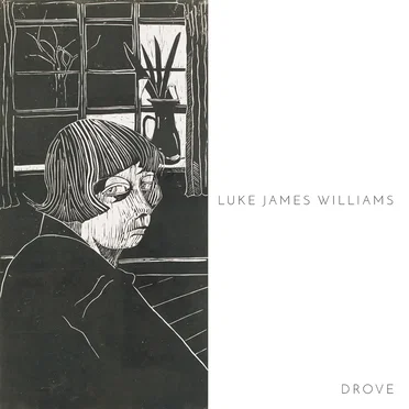 Drove by Luke James Williams - album cover