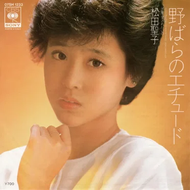 野ばらのエチュード