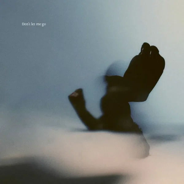Don’t Let Me Go