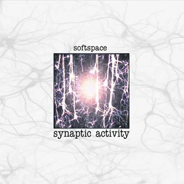 Synaptic Activity