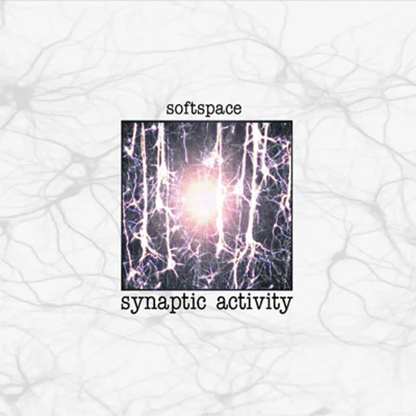 Synaptic Activity