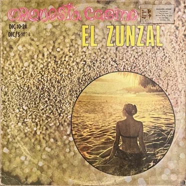 El zunzal by Orquesta Casino - album cover