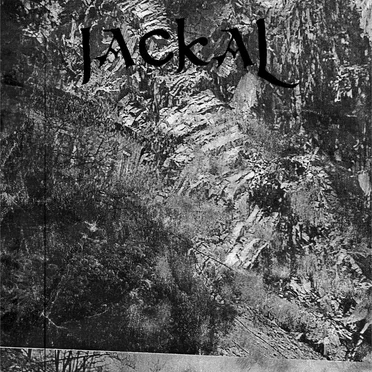 Jackal
