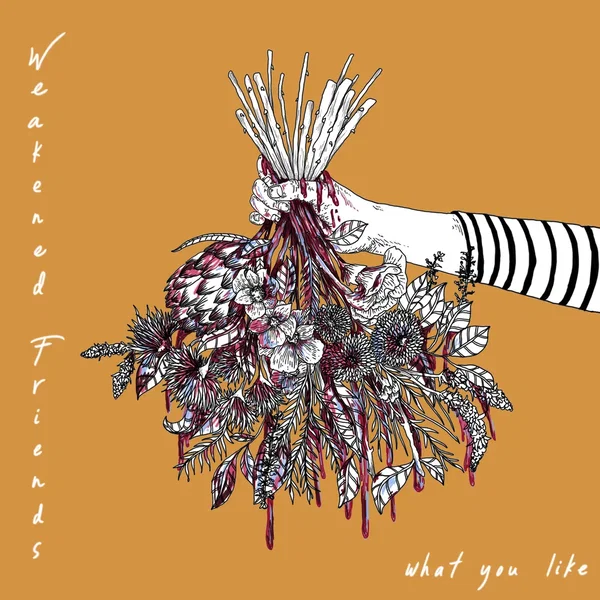 What You Like