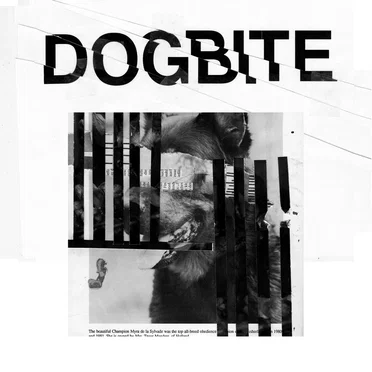 True Lo-Fi Will Find You in the End by Dogbite - album cover